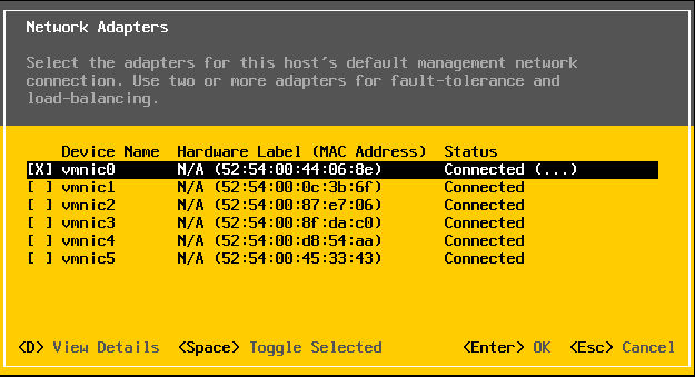 ../_images/esxi_adapters.png
