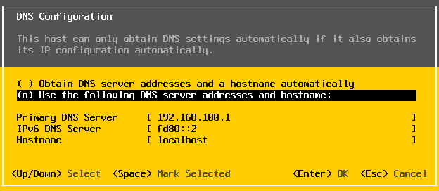 ../_images/esxi_dns.jpg