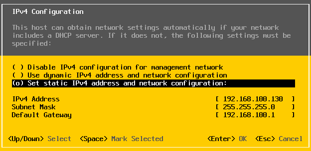 ../_images/esxi_ip.jpg